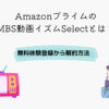 Amazonプライム MBS動画