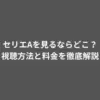 セリエAを見るならどこ？視聴方法と料金を徹底解説