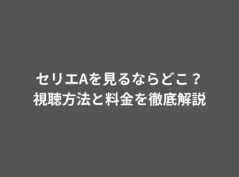 セリエAを見るならどこ？視聴方法と料金を徹底解説