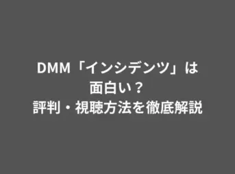 DMM「インシデンツ」は面白い？評判・視聴方法を徹底解説