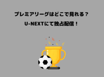 プレミアリーグはどこで見れる？