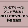 プレミアリーグはどこで見れる？U-NEXTのサッカーパック料金を解説