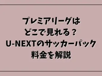 プレミアリーグはどこで見れる？U-NEXTのサッカーパック料金を解説