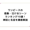 ワンピースの感動・泣けるシーンランキング10選！神回と名言を徹底解説