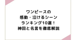 ワンピースの感動・泣けるシーンランキング10選！神回と名言を徹底解説