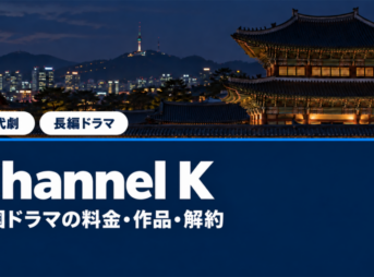 夜の韓国の宮殿の屋根と街の明かり