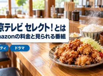中京テレビ セレクト！の料金と見られる番組