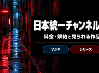 日本統一チャンネルの料金と見られる作品